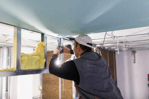 Best Insulation Contractor Near Me  in Swansboro, NC