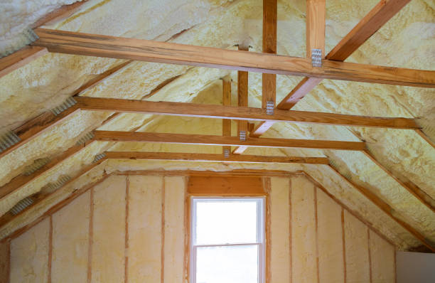 Best Commercial Insulation Contractor  in Swansboro, NC