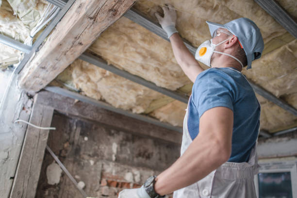 Best Garage Insulation Installation  in Swansboro, NC