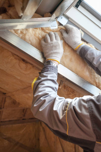 Best Insulation for New Construction  in Swansboro, NC