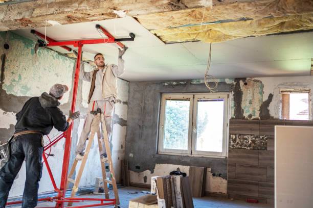 Best Professional Insulation Contractor  in Swansboro, NC