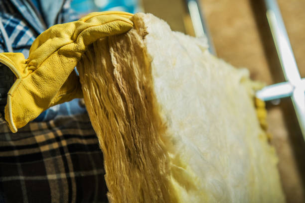 Best Insulation Inspection Services  in Swansboro, NC