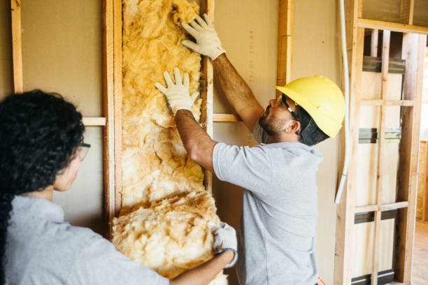 Best Energy-efficient Insulation  in Swansboro, NC