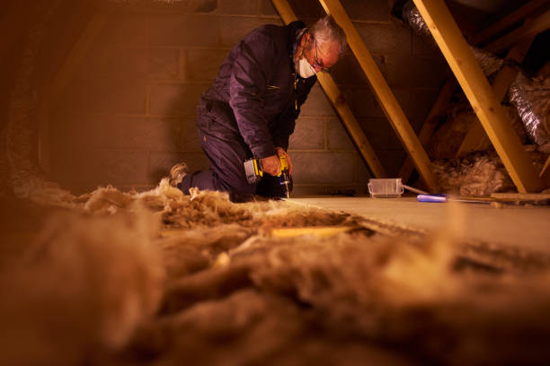 Best Affordable Insulation Services  in Swansboro, NC